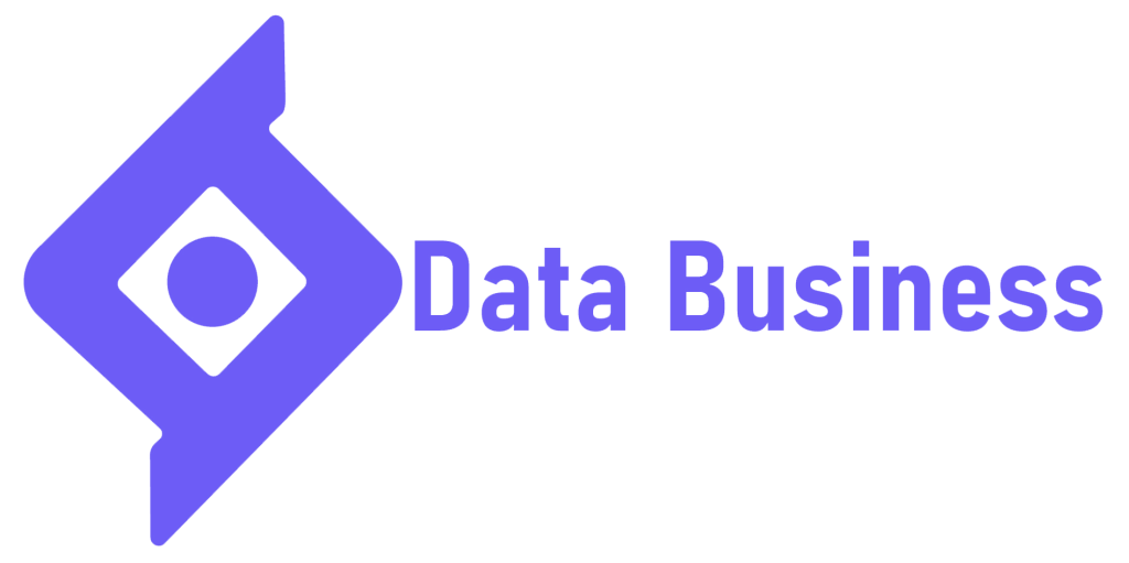 دیتا بیزینس